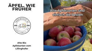 Apfel "James Grieve" alte Sorte Bio regional