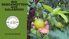 Bergamotten Bio von Familie Bilardi Kalabrien