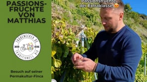 Passionsfrüchte Bio Demeter Permakultur von Matthias