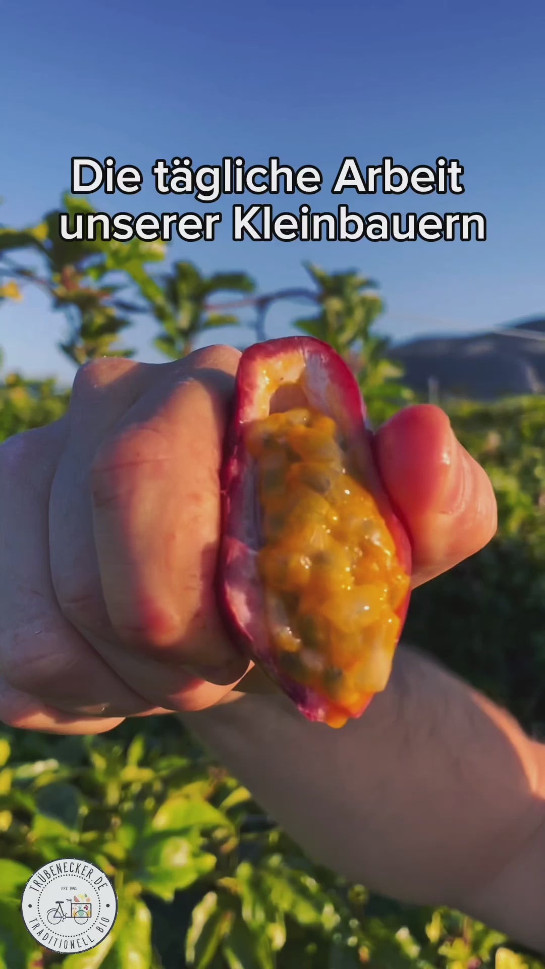 Video laden: 