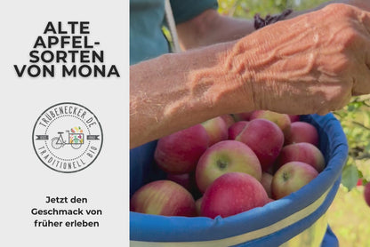 Apfel "Geheimrat Dr. Oldenburg" alte Sorte Bio regional