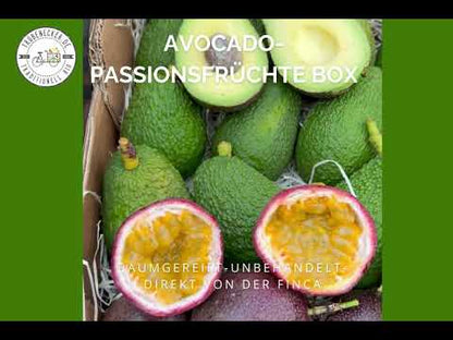 Avocado & Passionsfrüchte Box von Salvador