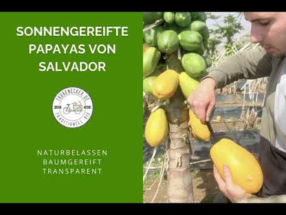 Papaya von Salvador Kennenlernpreis % 4kg Box