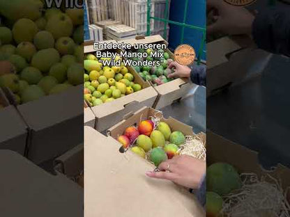Baby-Mango Mix "Wild Wonders" Box