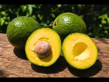 Avocado Margarida (Stk. ca. 500g)