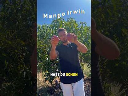 Mango Irwin Bio von Jaime Aktionspreis %
