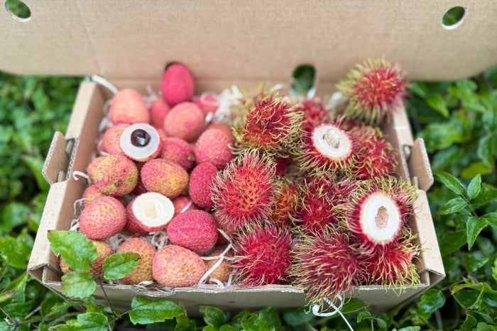 Litschi & Rambutan Box Sonderpreis