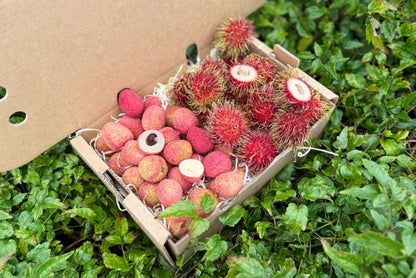 Litschi & Rambutan Box Sonderpreis