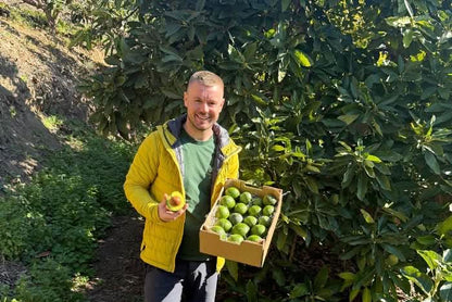 Avocado-Raritäten Mix Box von Julian
