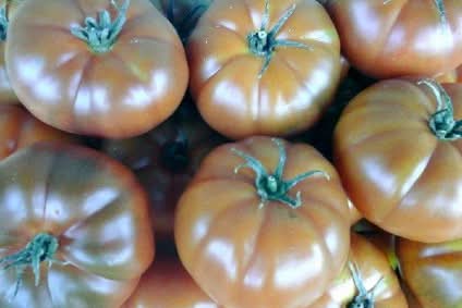 Bio Fleischtomaten "Rebellion" schwarz 1kg
