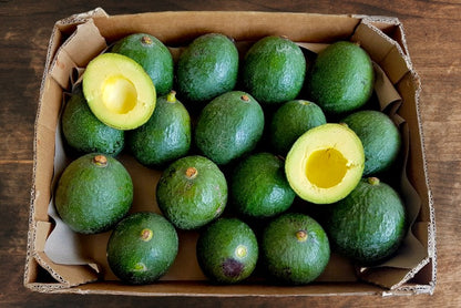 Avocado Mini Reed von Juan 3kg Retterbox