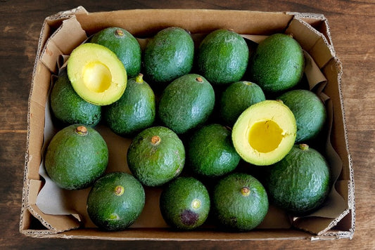 Avocado Mini Reed von Juan 3kg Retterbox