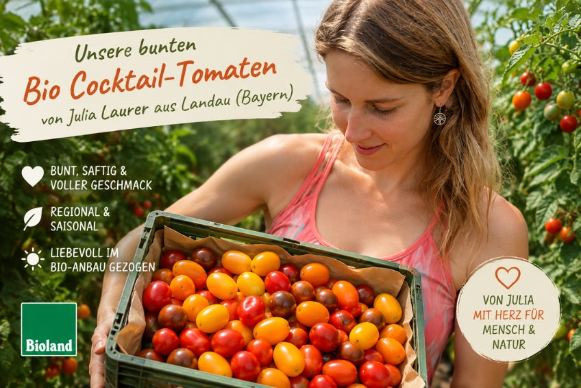 Cocktailtomaten Mix regional vom Biohof Laurer aus Landau