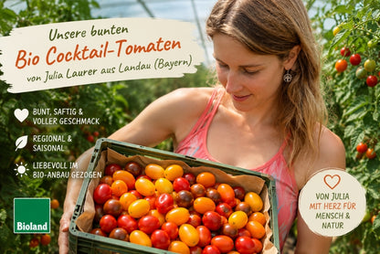 Cocktailtomaten Mix regional vom Biohof Laurer aus Landau