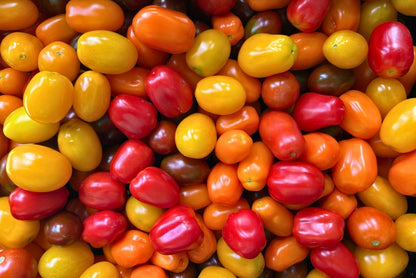 Cocktailtomaten Mix regional vom Biohof Laurer aus Landau