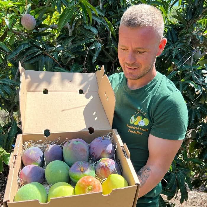 Mango Mix von Julian Sparbox