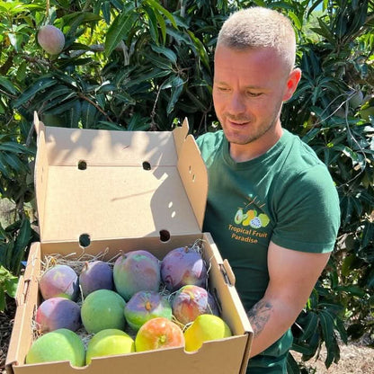 Mango Mix von Julian Sparbox