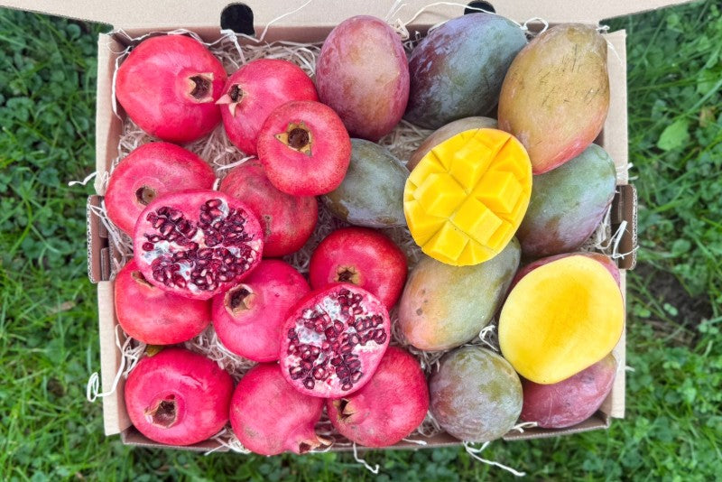 Mango & Granatapfel Retterbox %