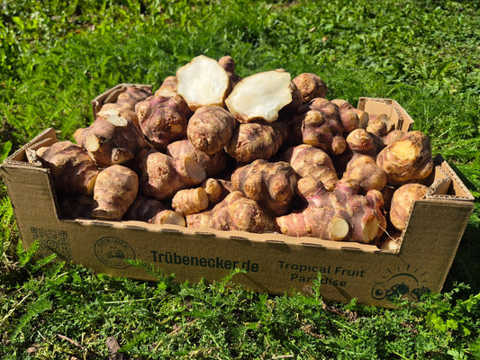 Topinambur Bio regional demeter aus Bayern