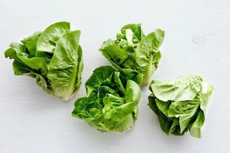 Romana-Salatherzen Bio regional bestellen - Trübenecker.de Romana-Salatherzen Bio regional bestellen - Trübenecker.de