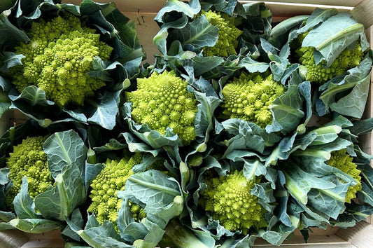 Romanesco Bio regional