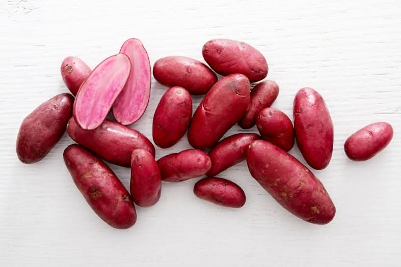 Kartoffeln "Rote Emmalie" Bio regional