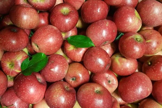 Bio Apfel „Rote Sternrenette“ – aromatisch & würzig, ideal frisch oder zum Backen.