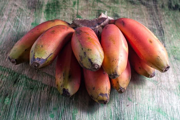 Rote Bananen Bio bestellen