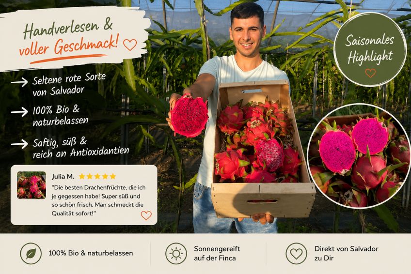 Drachenfrucht rot Bio von Salvador