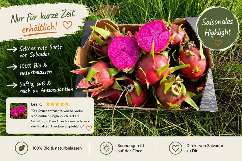 Drachenfrucht rot Bio von Salvador