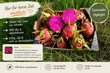 Drachenfrucht rot Bio von Salvador