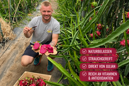 Drachenfrucht rot von Julian Aktionspreis %
