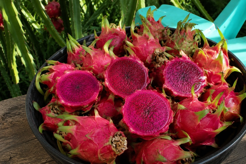Drachenfrucht rot von Mon naturbelassen