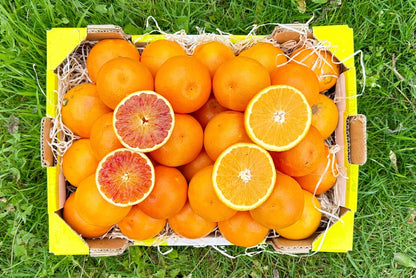 Mini-Orangen Mix Bio Retterbox %