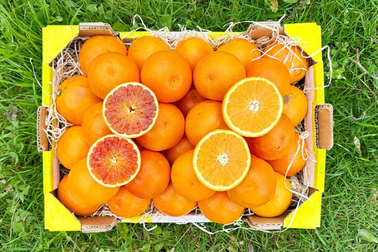 Mini-Orangen Mix Bio Retterbox %