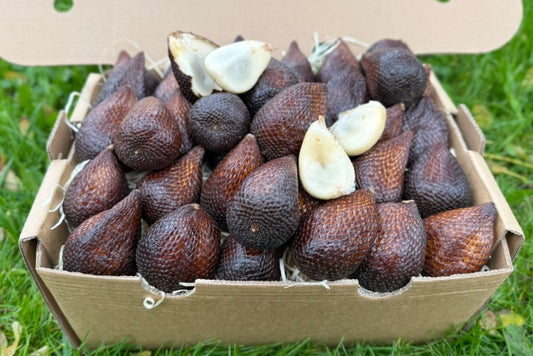 Salak (Schlangenfrucht) naturbelassen