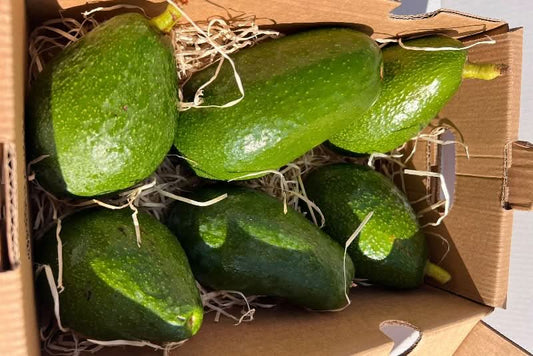 Avocado Mix „Wilde Schönheiten“ von Julian