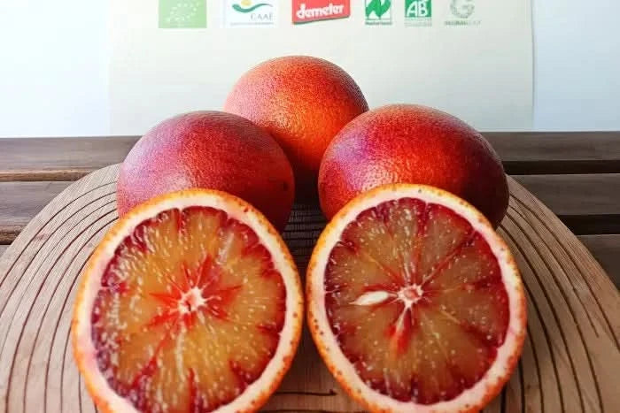 Bio Obstbox „Blutorangen & Avocado“