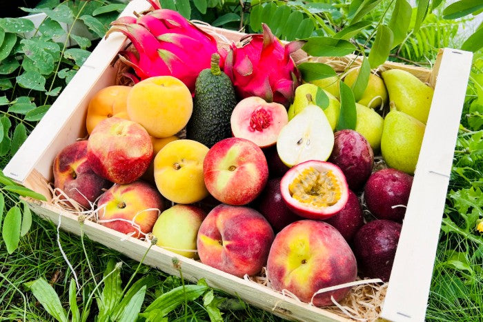 Spanische Sommernachts Box