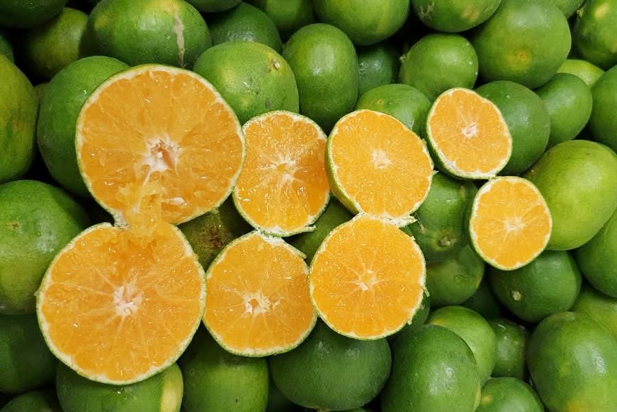 Bio Satsumas Mandarinen Miyagawa Apulien 1kg