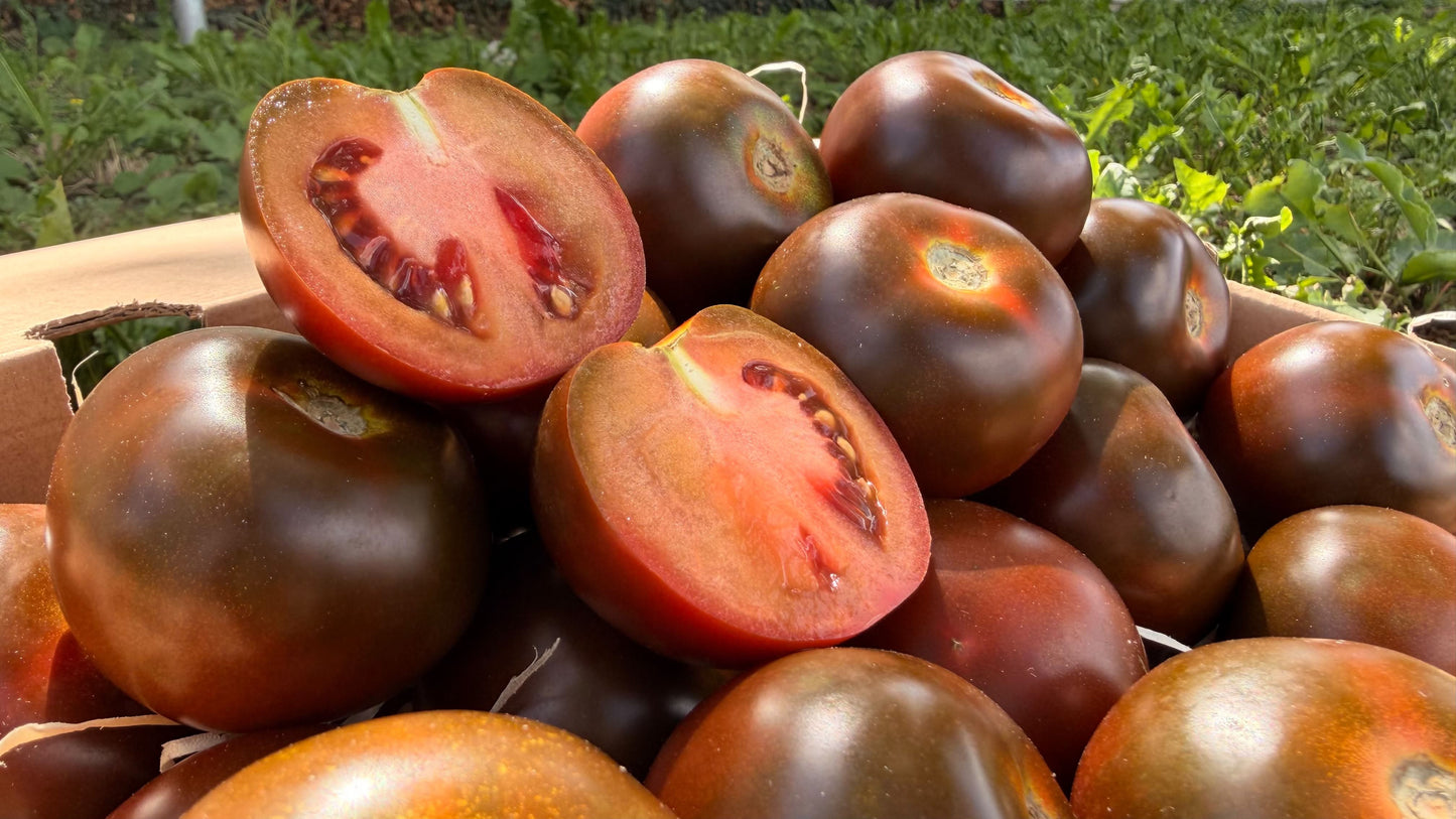 Delikatess-Tomaten schwarz "Kumato" 2kg Box Aktionswoche %