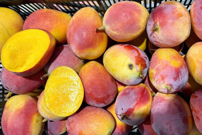 Mango Sensacion von Julian Aktionswoche %