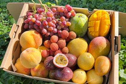 Früchtebox "Sizilianische Vulkanliebe" 4kg