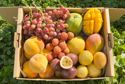 Früchtebox "Sizilianische Vulkanliebe" 4kg
