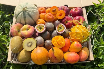 Früchtebox "Sommerträume"