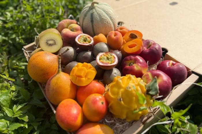 Früchtebox "Sommerträume"