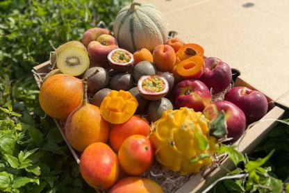 Früchtebox "Sommerträume"