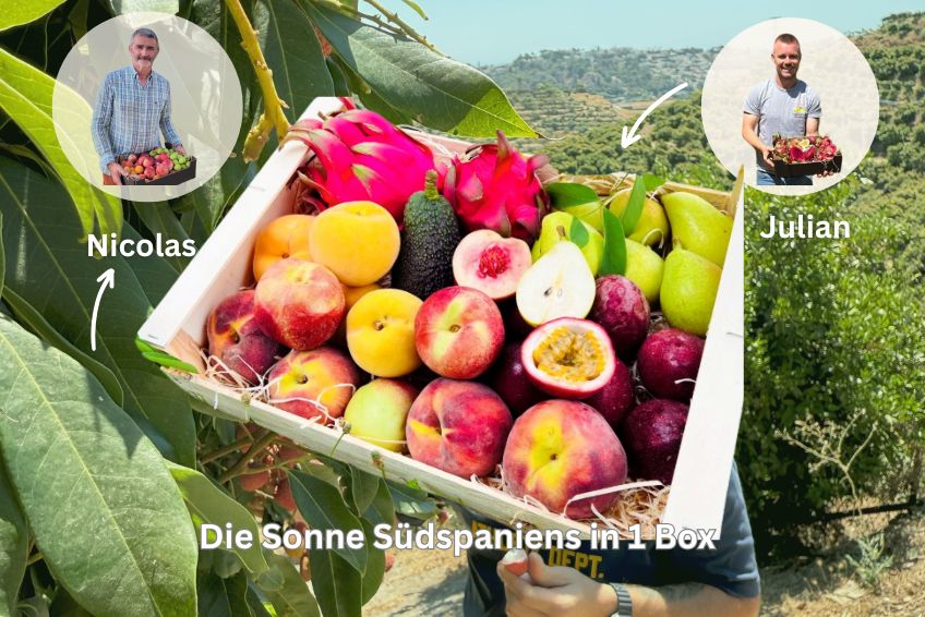 Spanische Sommernachts Box