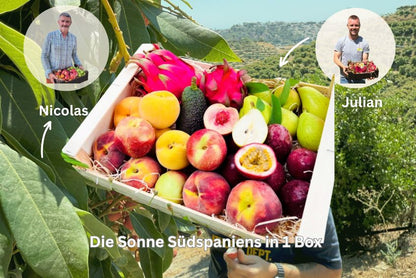 Spanische Sommernachts Box