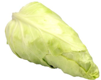 Spitzkohl Bio zart